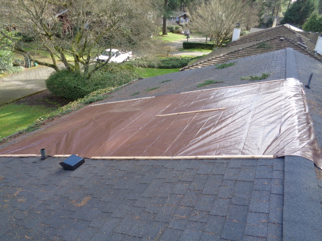 Roof leak inspection during rain
