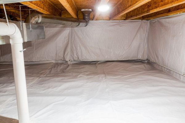 Water Damage Team Photo 5