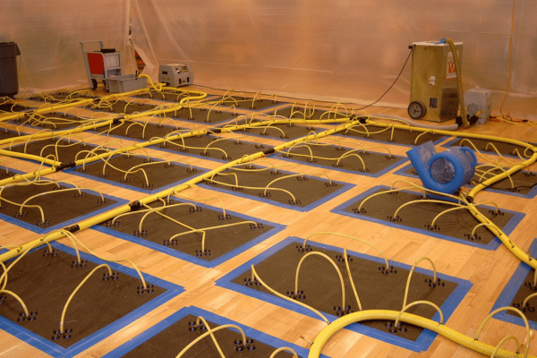 Water Damage Team Photo 4